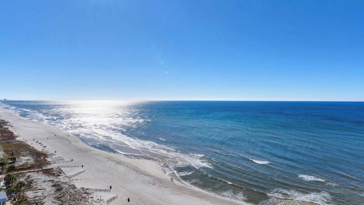 Photo of Others in Panama City Beach