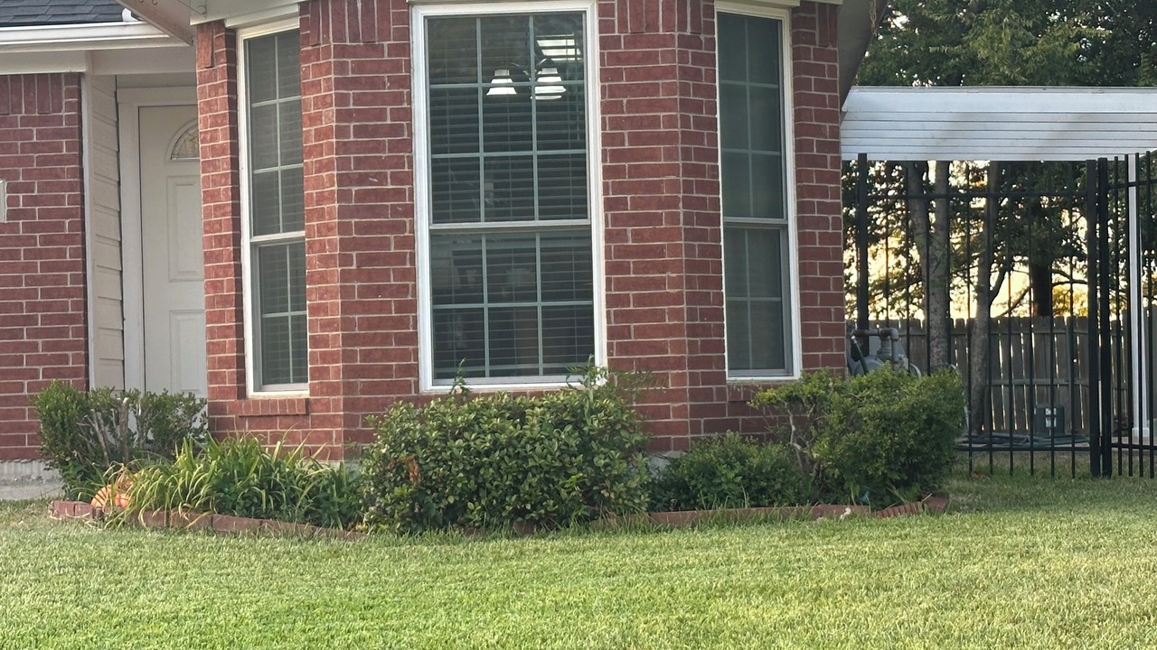 Photo of Outdoor in South Arlington