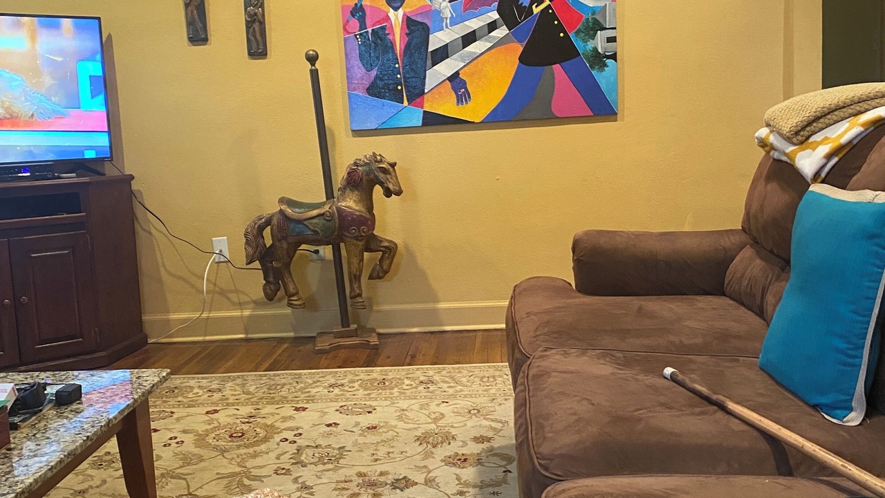 Photo of Livingroom in Mid City South