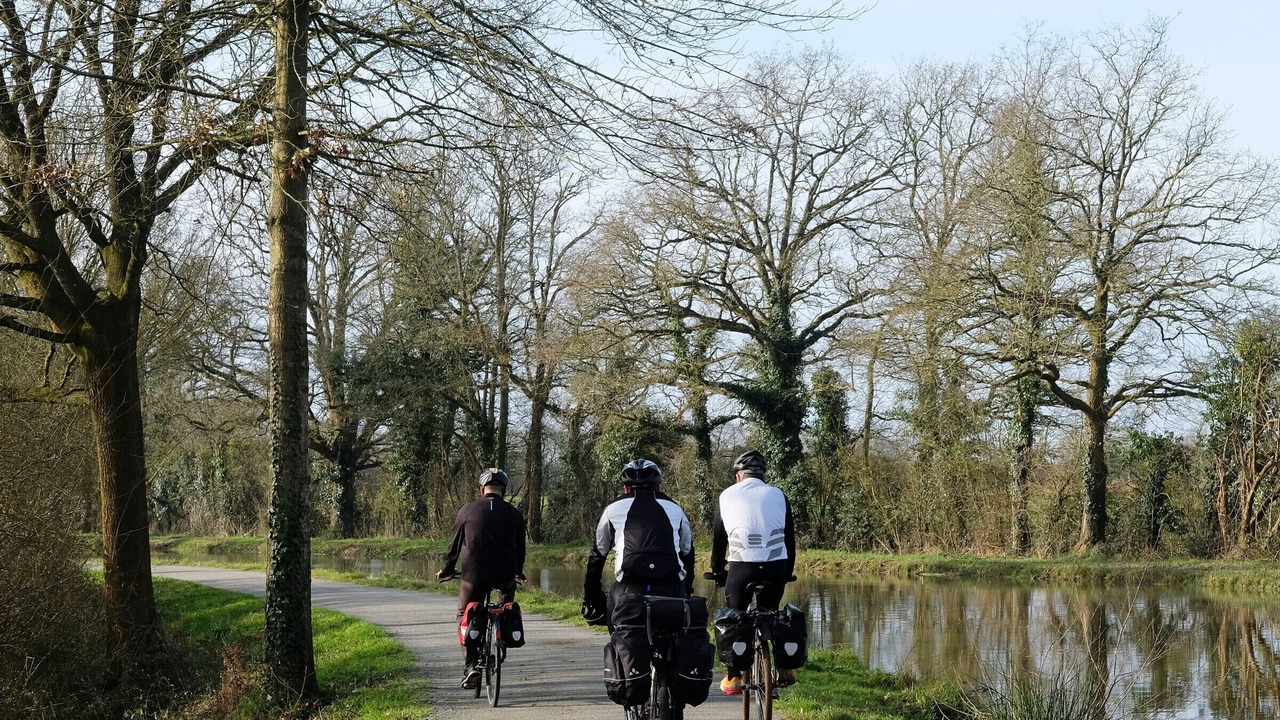 Photo of Others in Nort-sur-Erdre