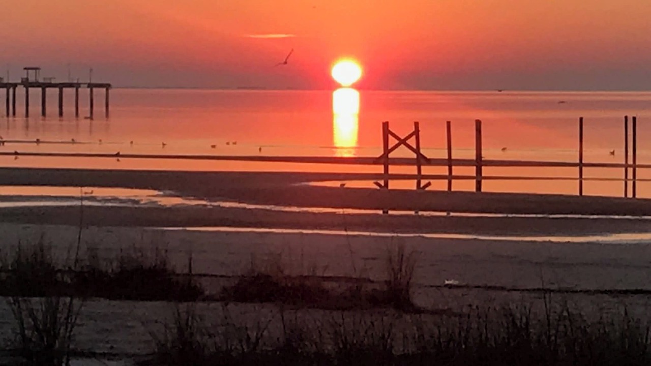 Photo of Others in Waveland