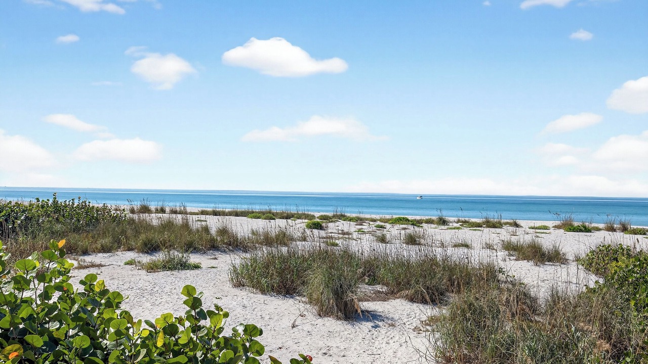 Photo of Others in Boca Grande