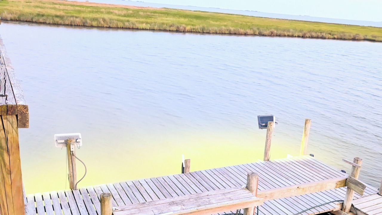 Photo of Others in Lake Catherine
