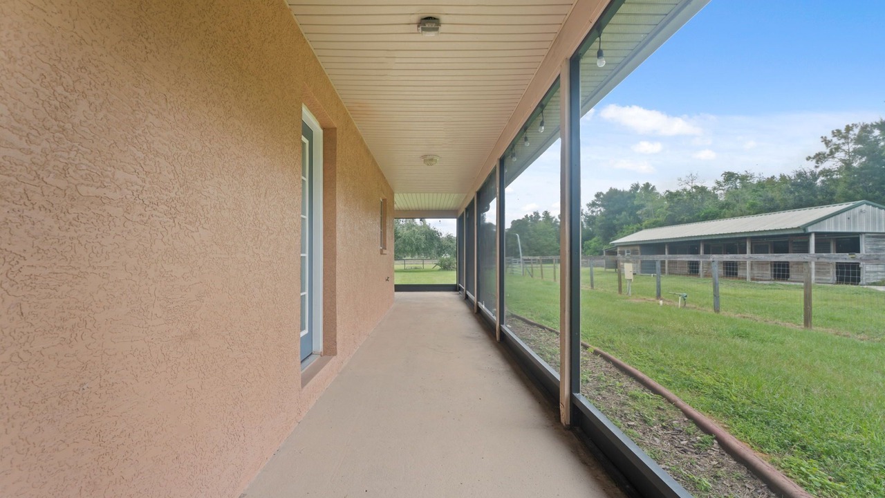 Photo of Outdoor in Wesley Chapel