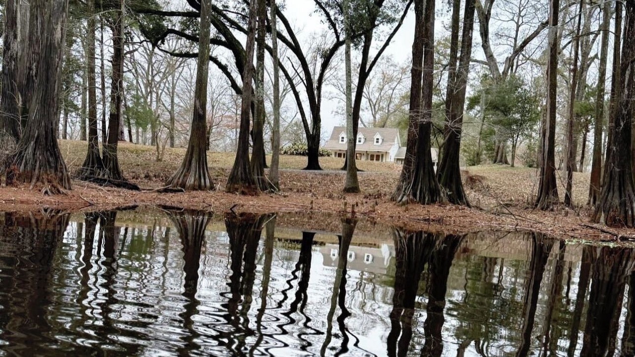 Photo of Outdoor in Kelly