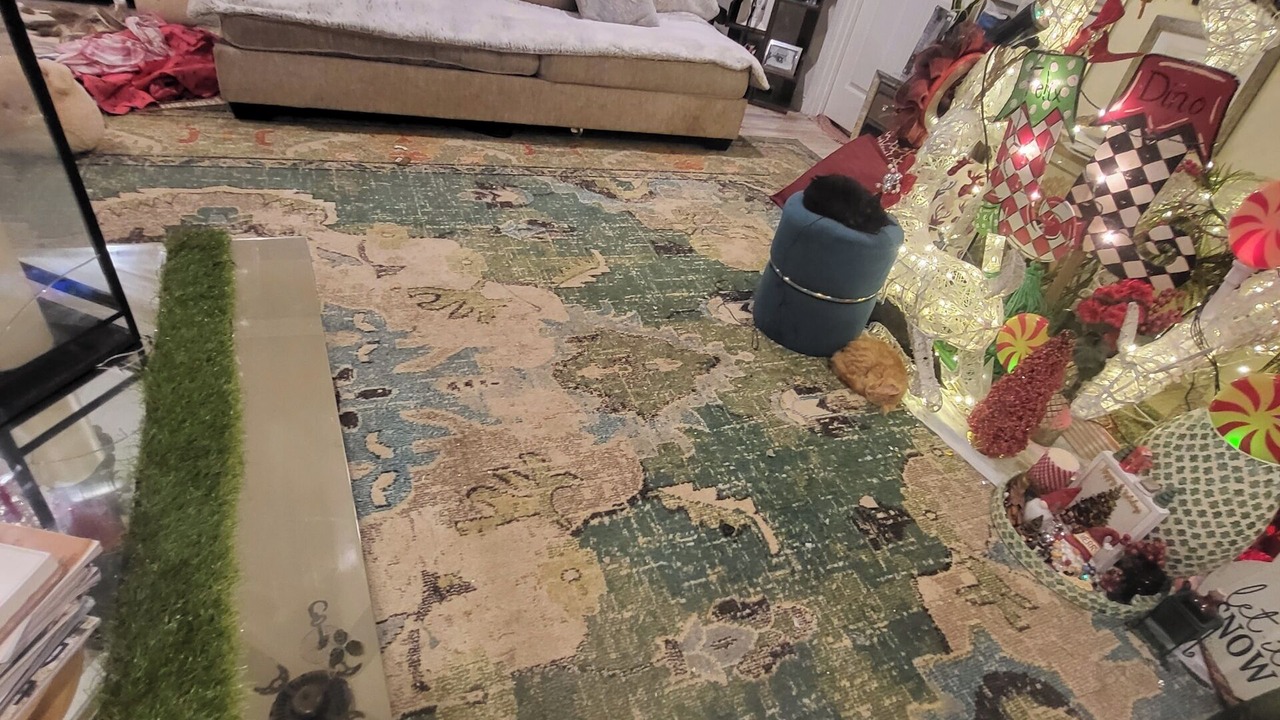 Photo of Livingroom in Deweyville