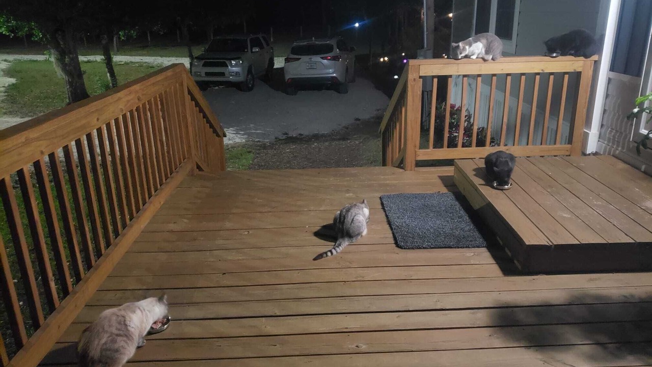 Photo of Patio Balcony in Clewiston