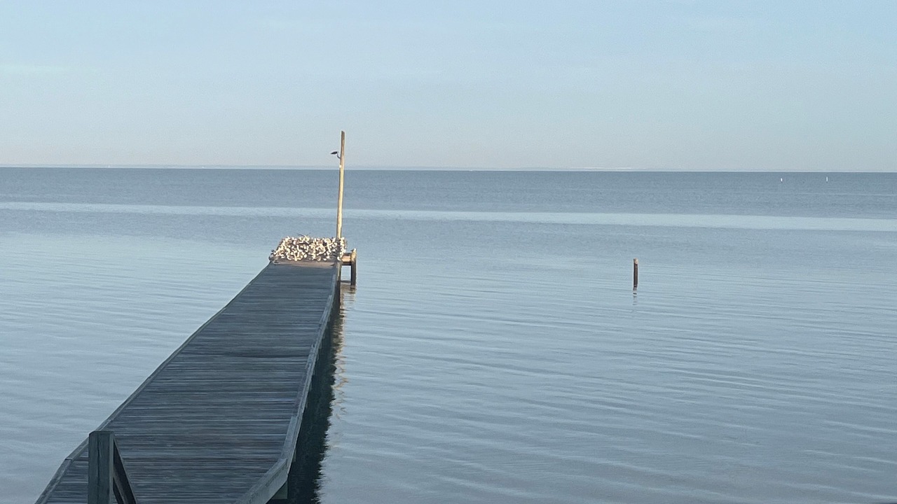 Photo of Others in Fairhope