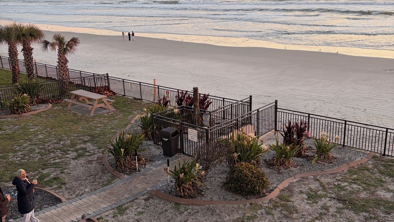 Photo of Others in Daytona Beach
