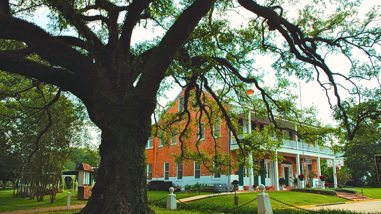 Photo of Others in St. Martinville