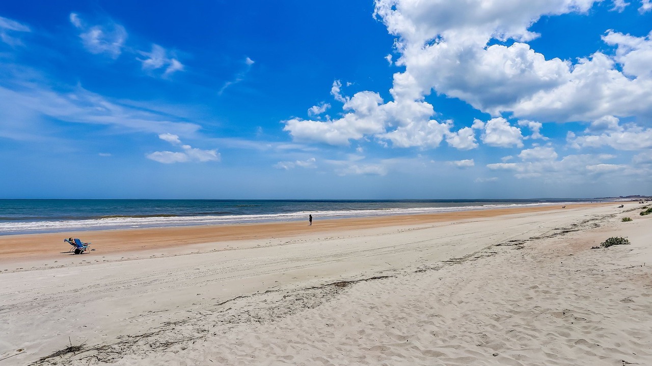 Photo of Others in American Beach