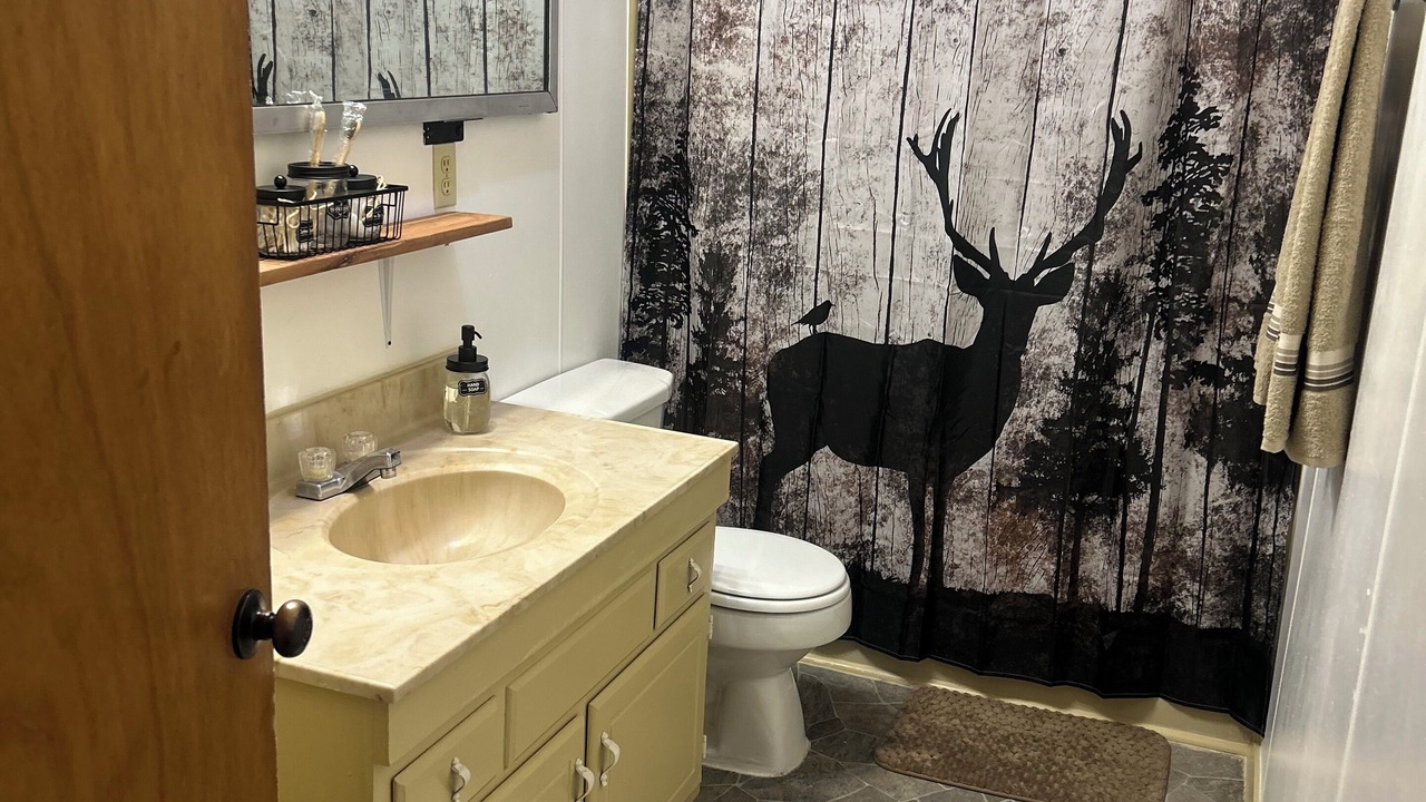 Photo of Bathroom in Chapman