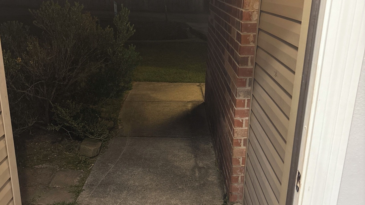 Photo of Outdoor in Tangipahoa Parish