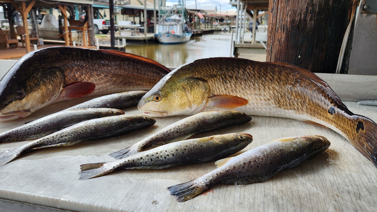Photo of Others in Port Sulphur