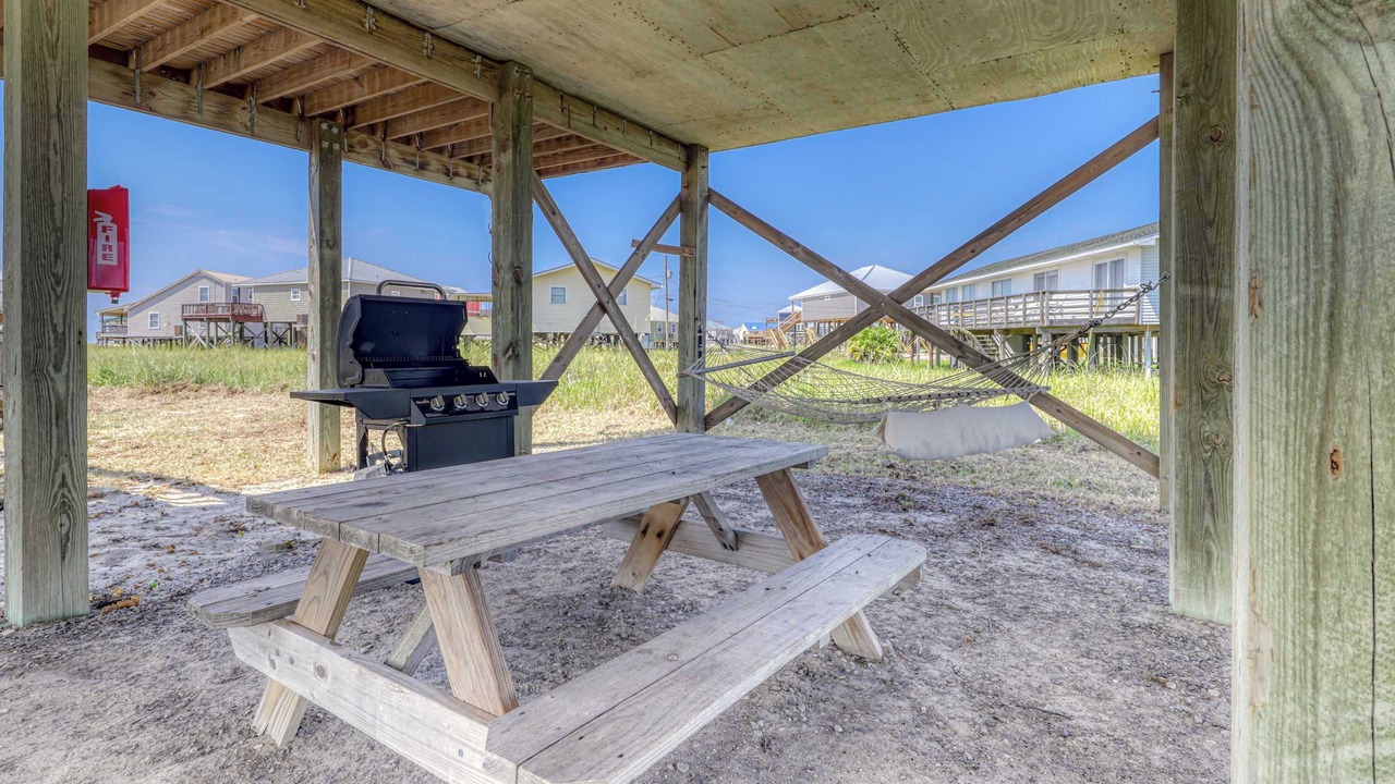 Photo of Outdoor in Dauphin Island
