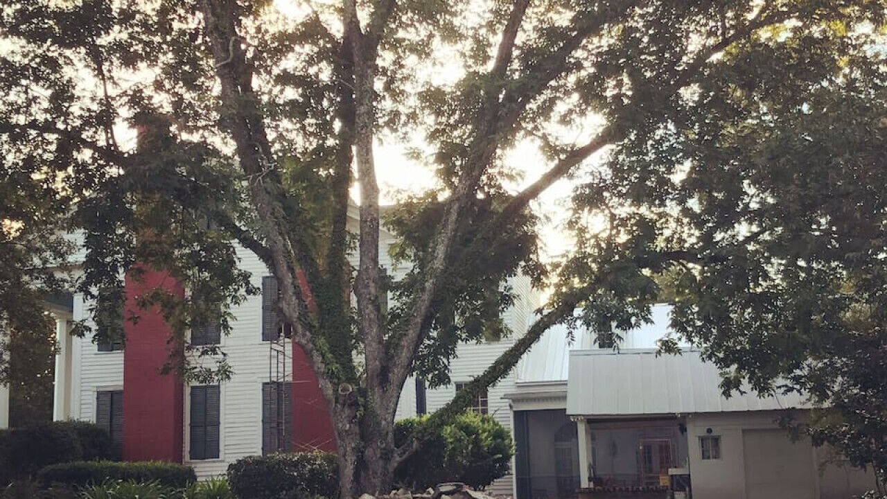 Photo of Outdoor in Clinton