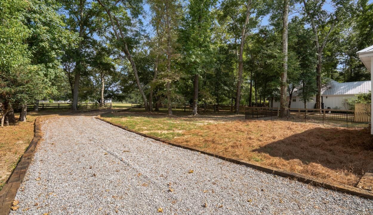 Photo of Outdoor in Point Clear
