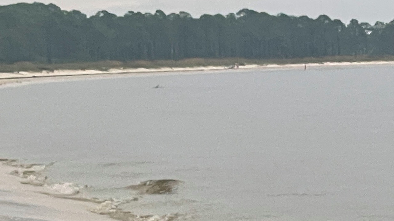 Photo of Others in Carrabelle