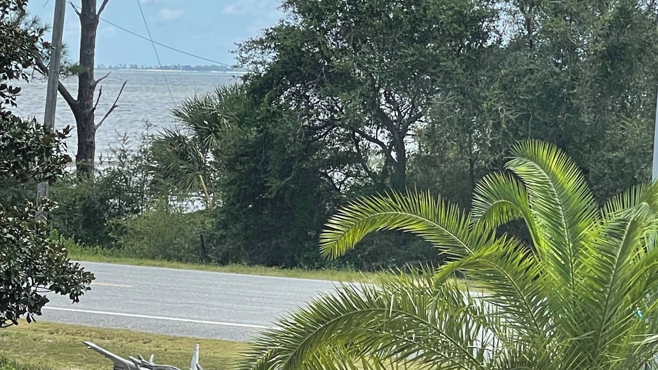 Photo of Outdoor in Carrabelle