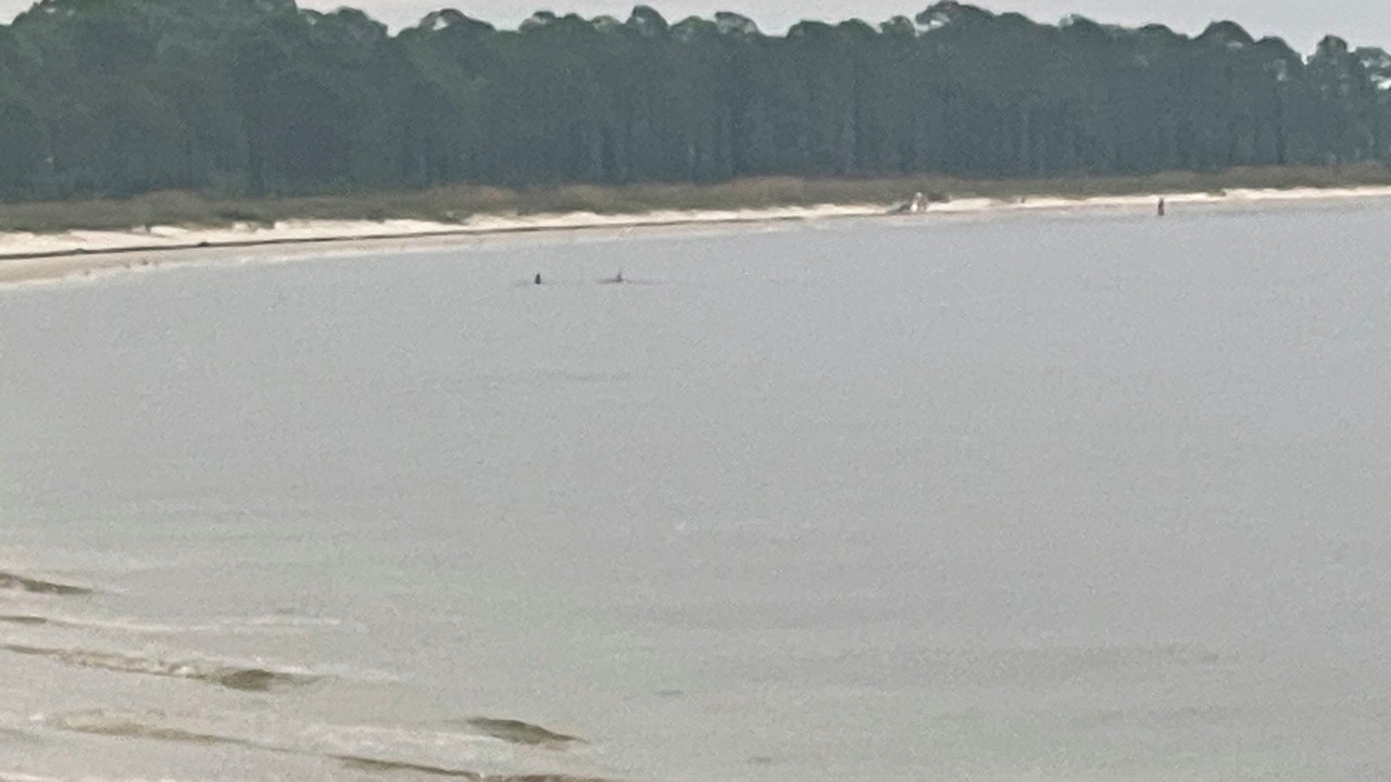 Photo of Others in Carrabelle