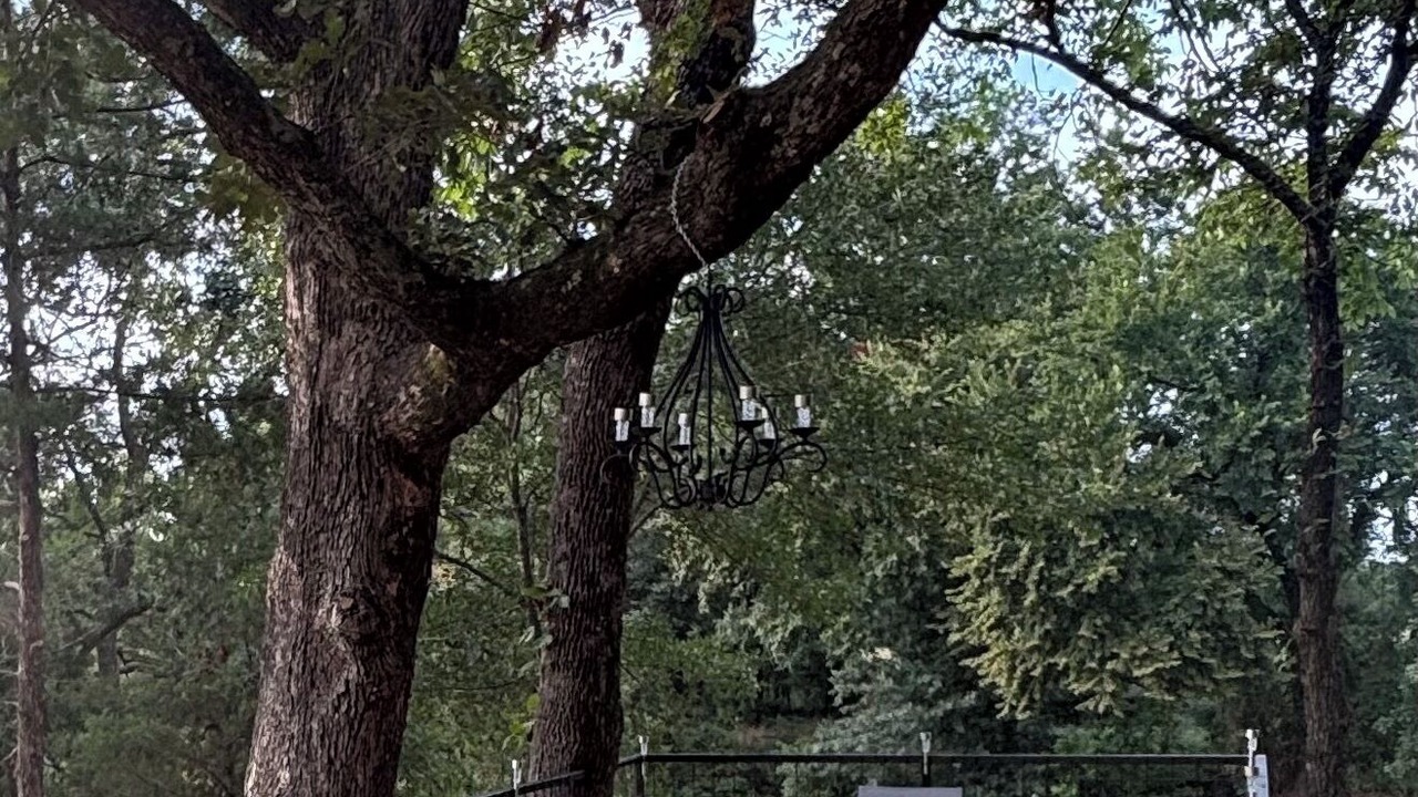 Photo of Outdoor in Albany