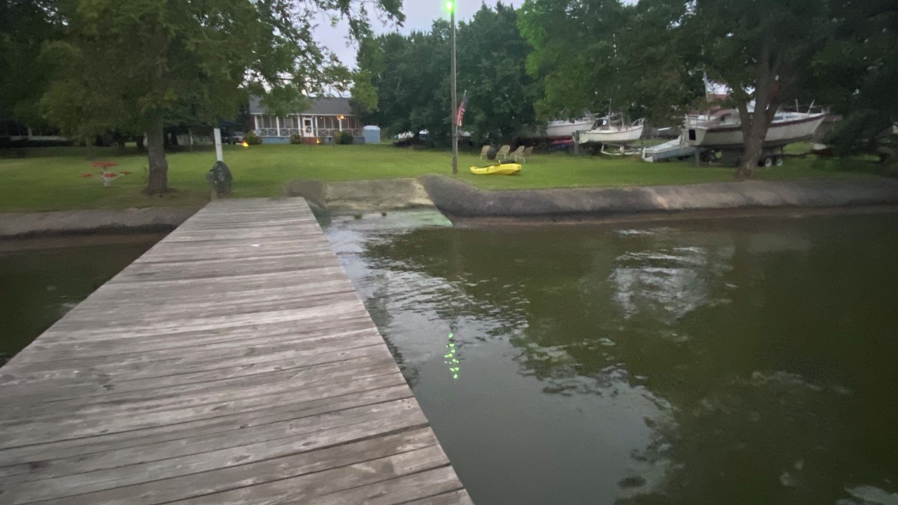 Photo of Others in Leesburg