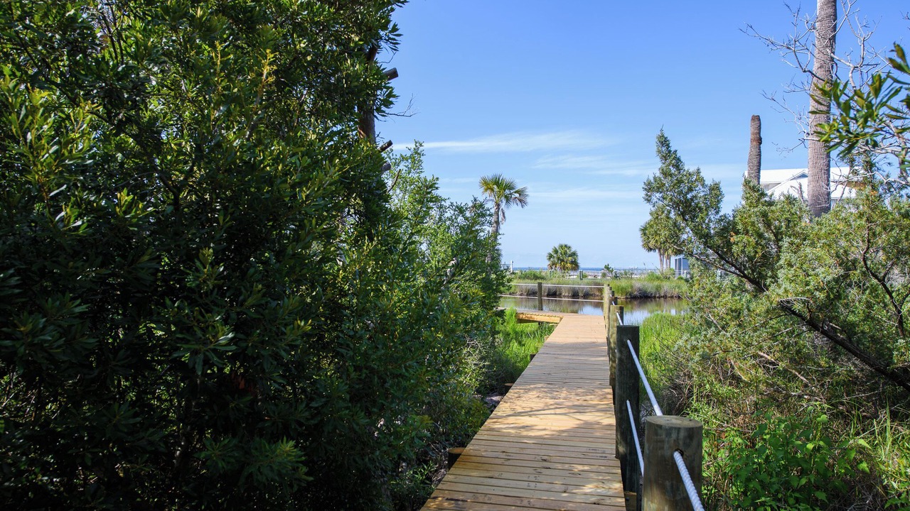 Photo of Outdoor in Plantation