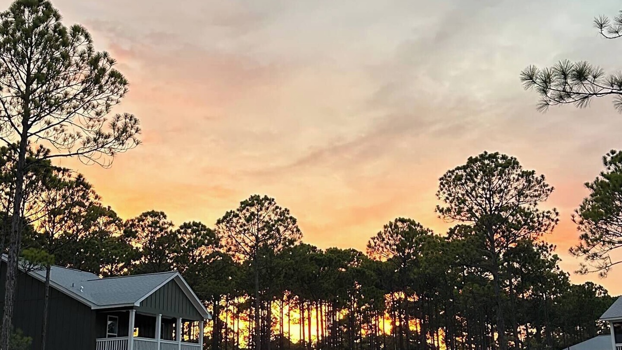 Photo of Outdoor in Panacea