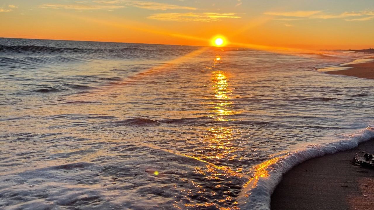 Photo of Others in Dauphin Island
