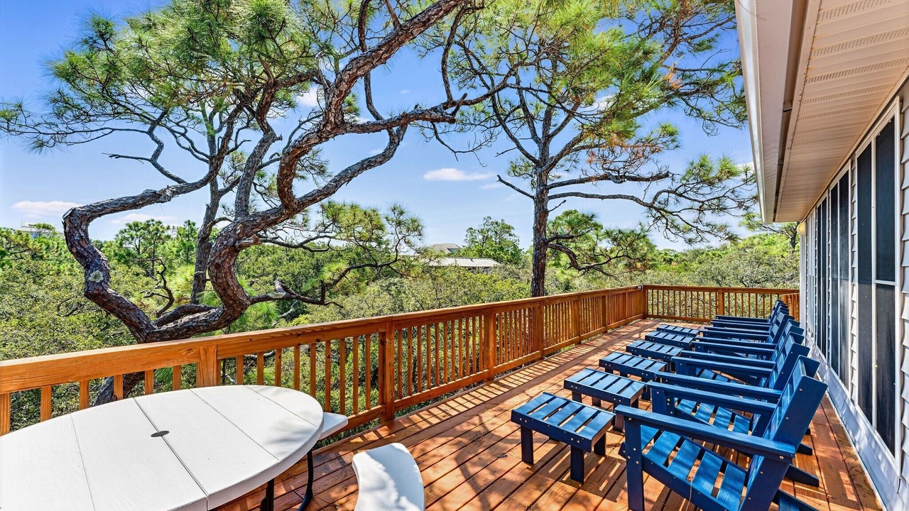 Photo of Outdoor in Plantation