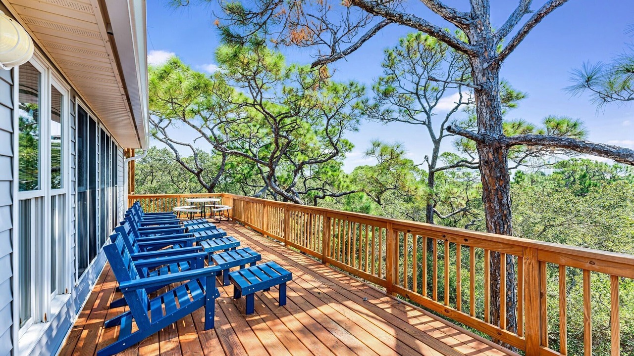 Photo of Outdoor in Plantation