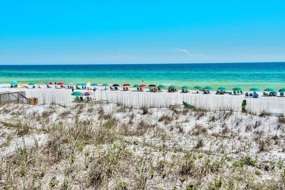 Photo of Others in Avalon Beach Estates