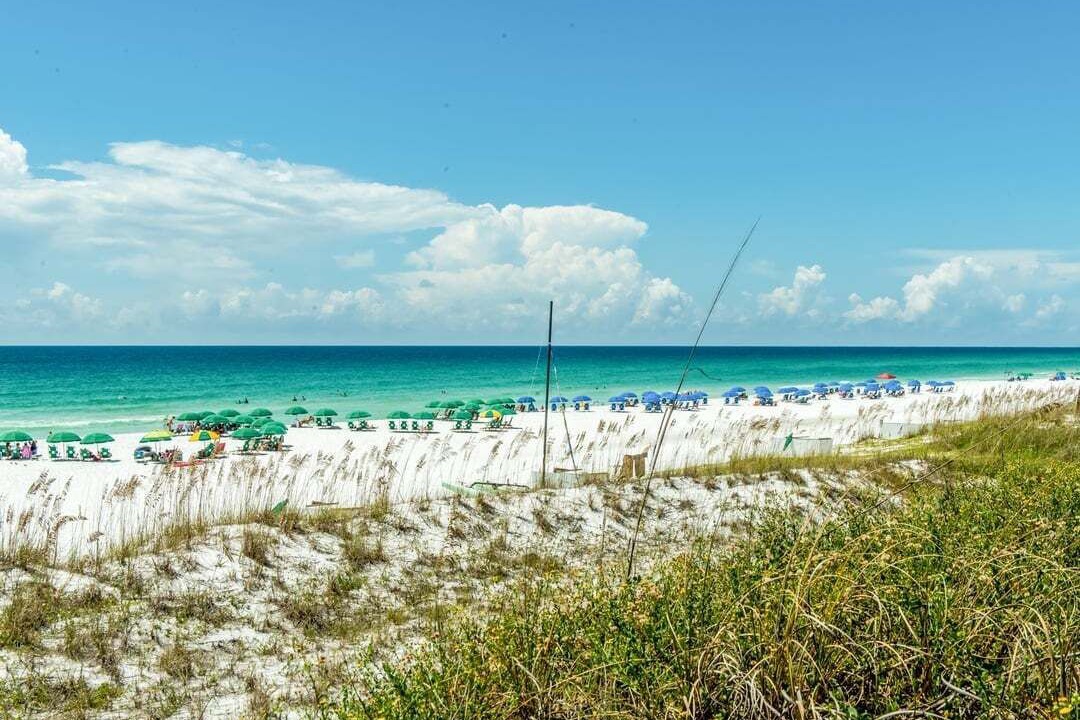 Photo of Others in Avalon Beach Estates