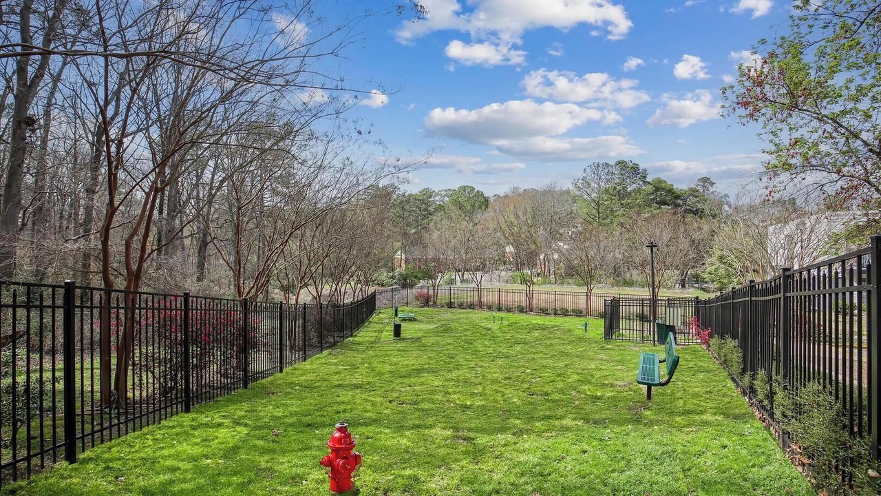 Photo of Outdoor in Homewood