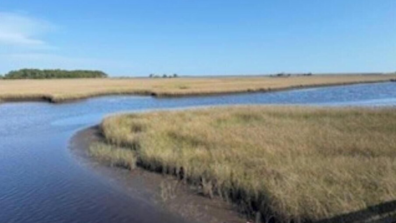 Photo of Others in Carrabelle