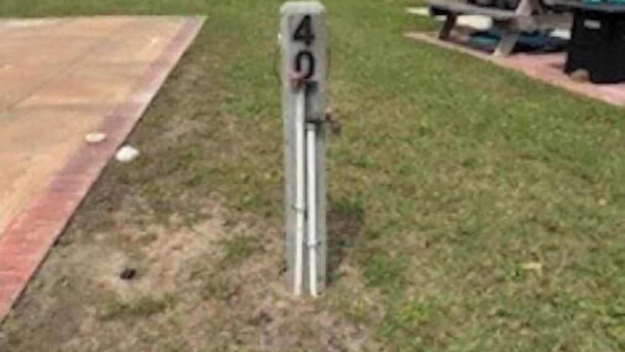 Photo of Outdoor in Carrabelle