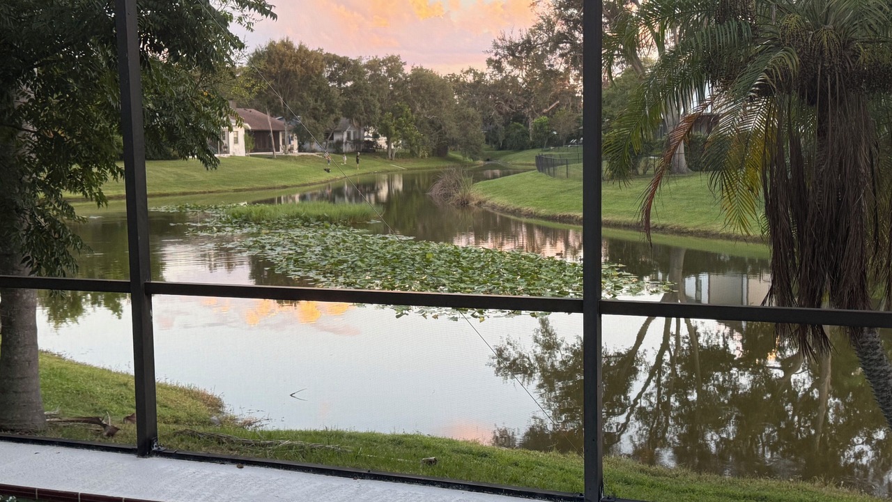 Photo of Outdoor in Fruitville