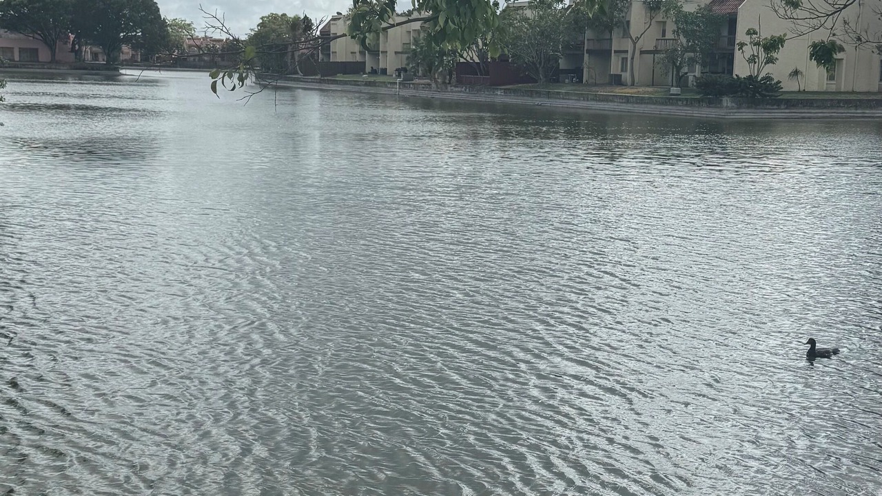 Photo of Others in Lauderhill
