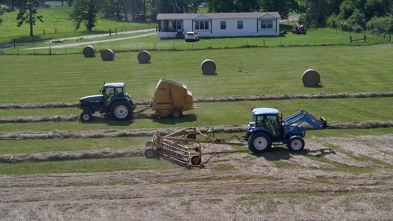 Photo of Others in Harrison County