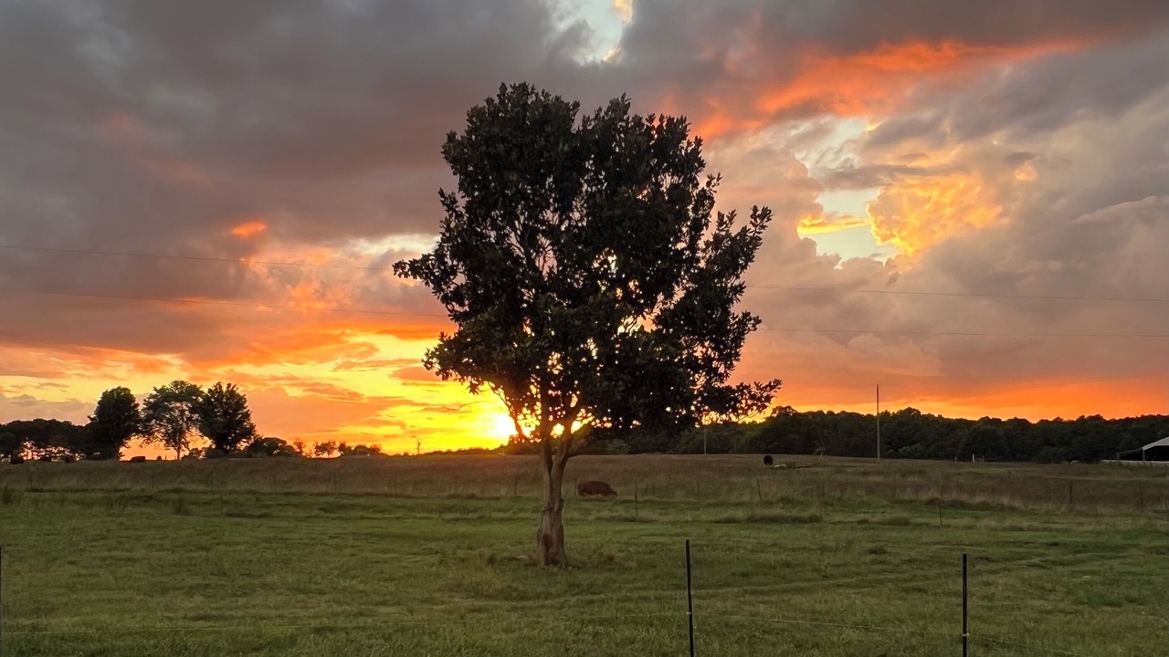 Photo of Outdoor in Groveoak