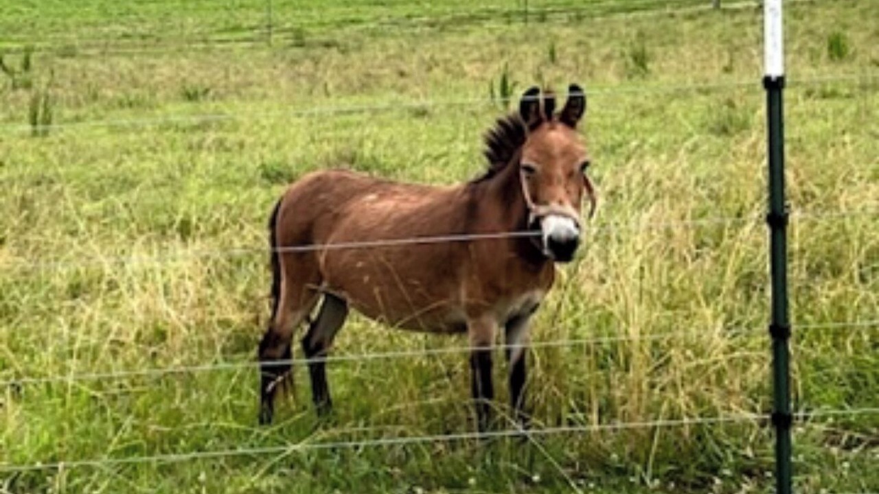 Photo of Others in Groveoak