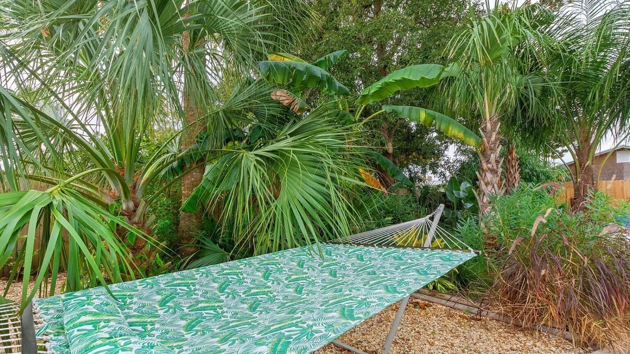 Photo of Outdoor in The Pines