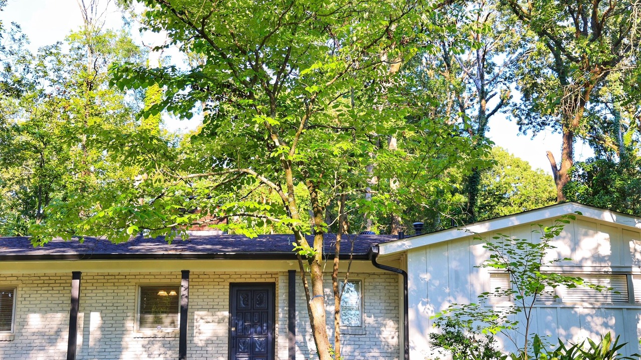Photo of Outdoor in Tougaloo
