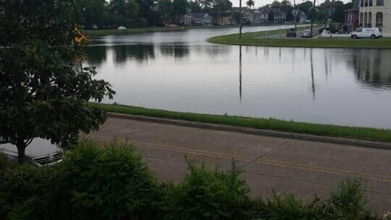 Photo of Others in Bayou St. John
