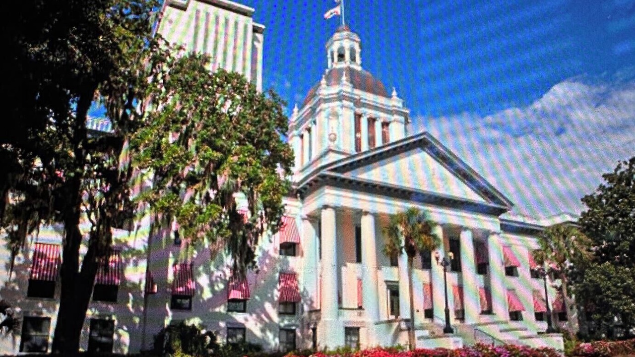 Photo of Others in Tallahassee