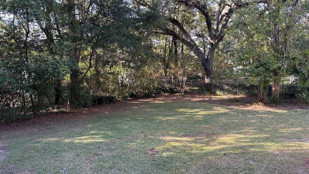 Photo of Others in Tallahassee
