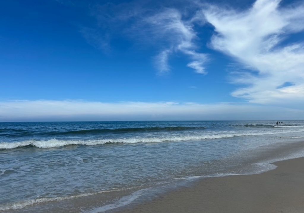 Photo of Others in Ormond-by-the-Sea