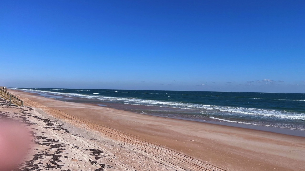 Photo of Others in Ormond-by-the-Sea