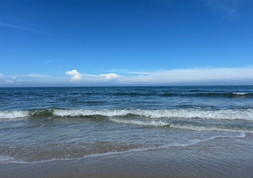 Photo of Others in Ormond-by-the-Sea