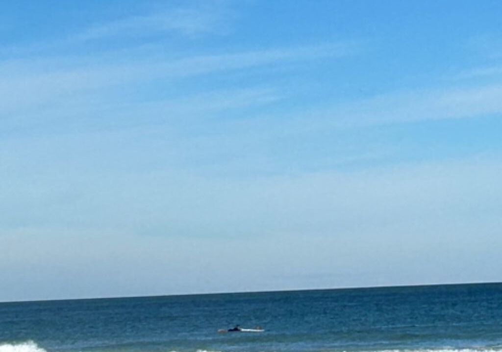 Photo of Others in Ormond-by-the-Sea